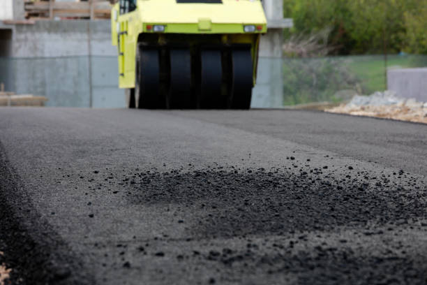 Best Decorative Driveway Pavers  in Webster, TX